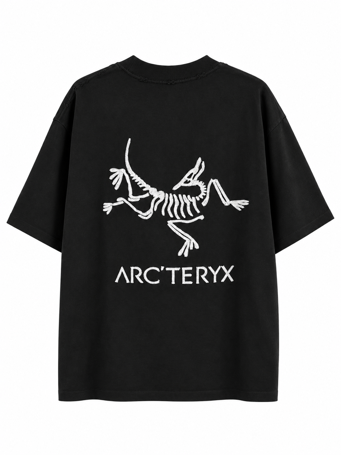 Arc’teryx Graphic Logo T-Shirt